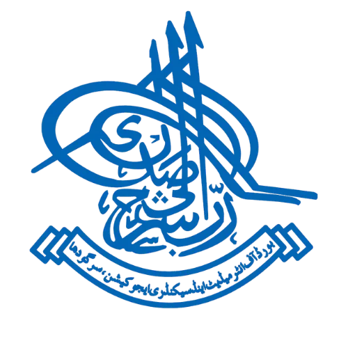 BISE Sargodha logo
